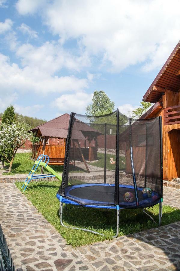 Pensiunea Nicol Hotel Valea Iasului Buitenkant foto