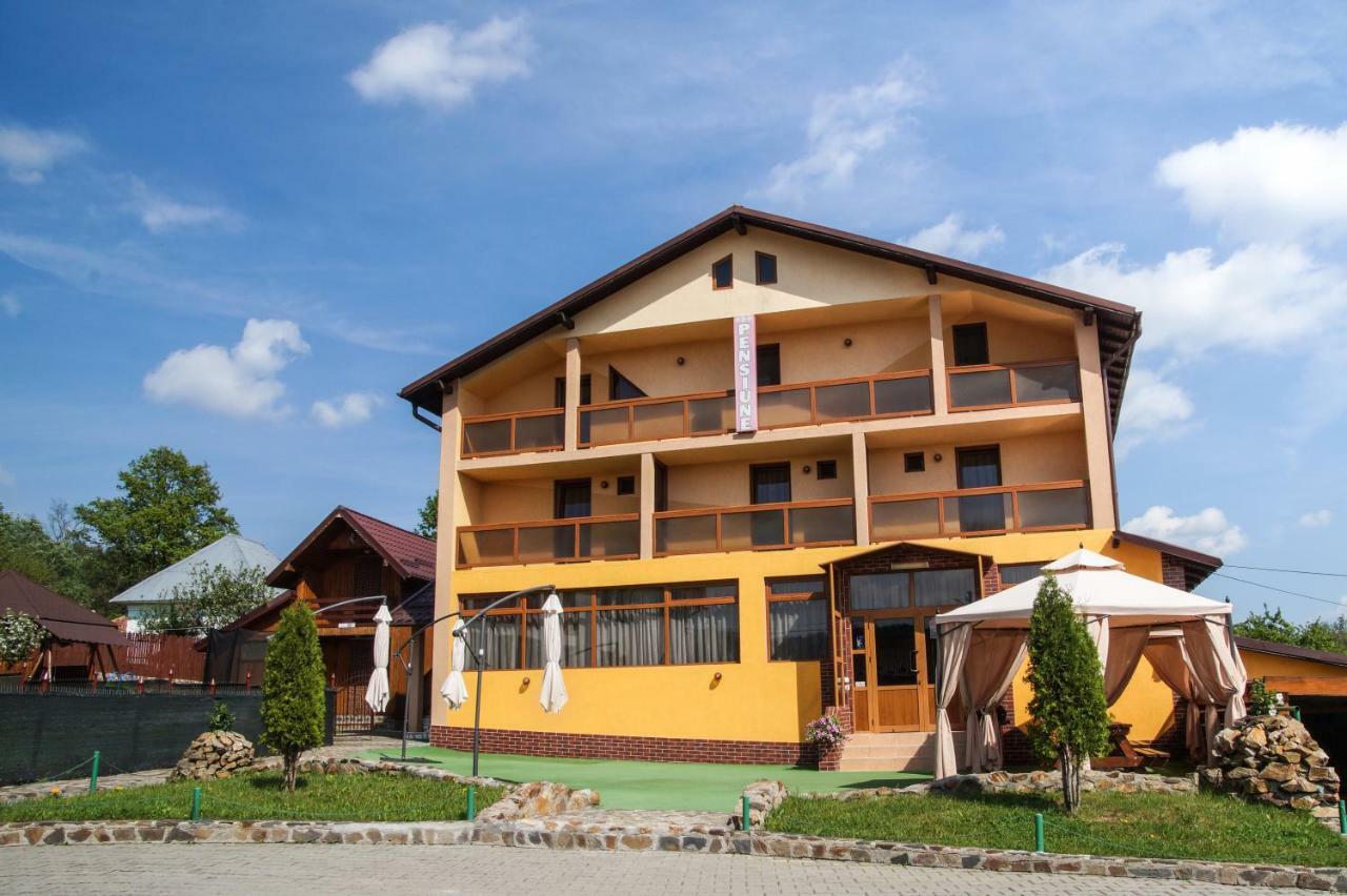 Pensiunea Nicol Hotel Valea Iasului Buitenkant foto