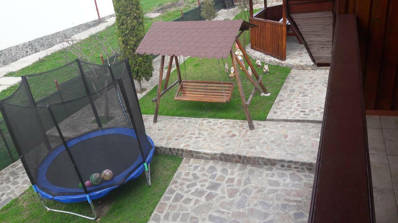Pensiunea Nicol Hotel Valea Iasului Buitenkant foto