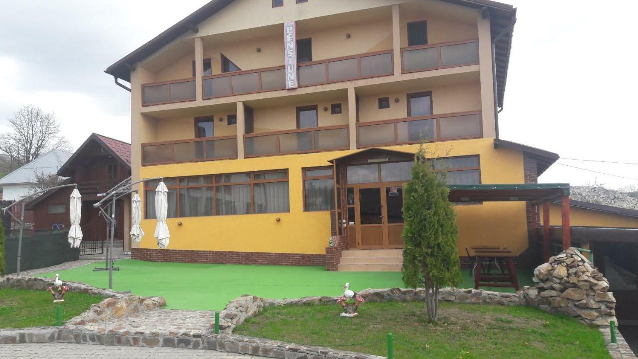 Pensiunea Nicol Hotel Valea Iasului Buitenkant foto